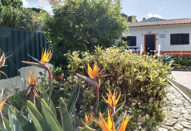 Casa De Campo Em Сесимбра Экстерьер фото
